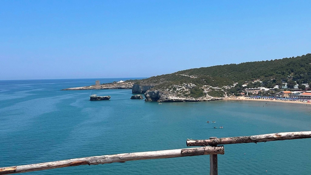 Photo of Others in Vico del Gargano