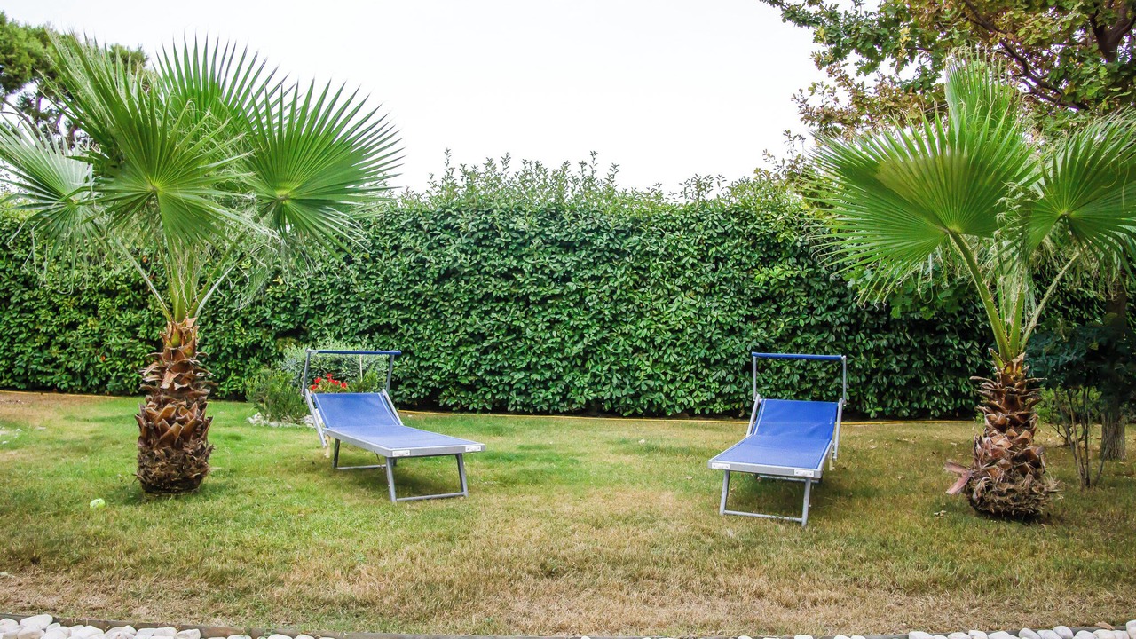 Photo of Outdoor in Bisceglie
