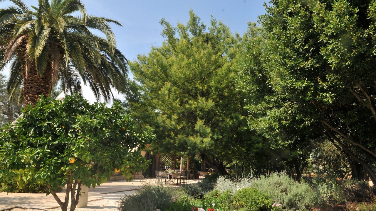 Photo of Others in Ceglie Messapica