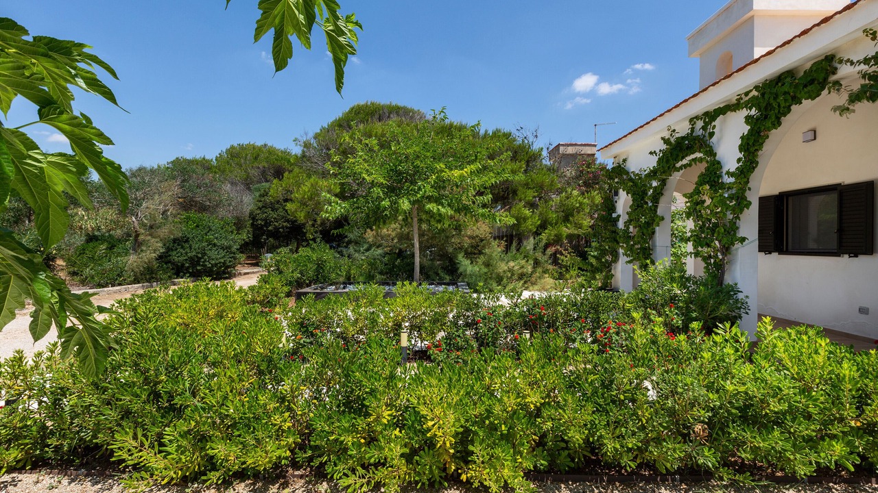 Photo of Outdoor in Specchiarica