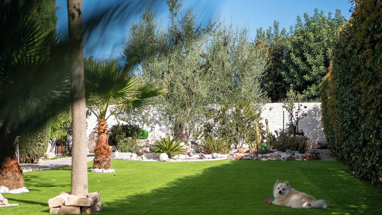 Photo of Outdoor in Bisceglie