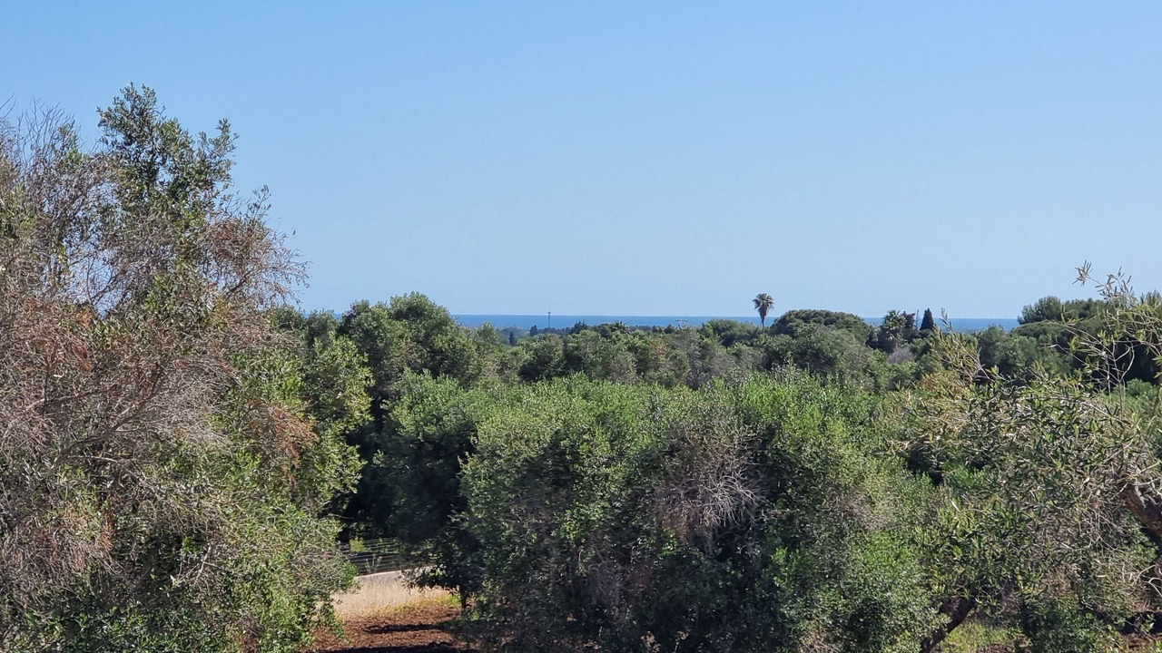 Photo of Outdoor in Carovigno