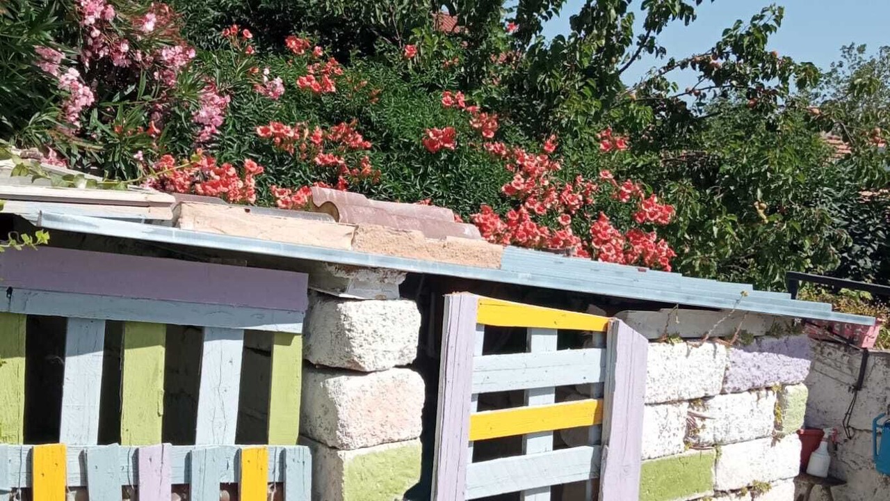 Photo of Outdoor in Tricarico
