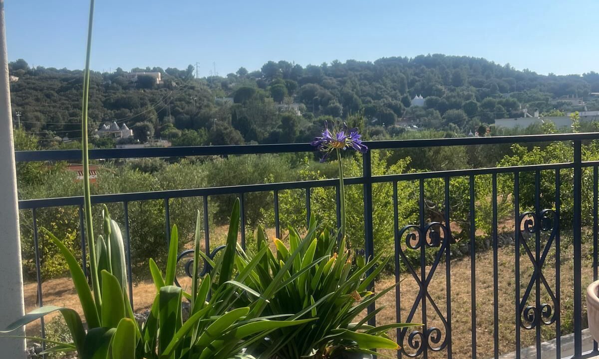 Photo of Outdoor in Fasano