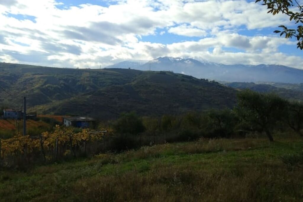 Photo of Others in Orsogna