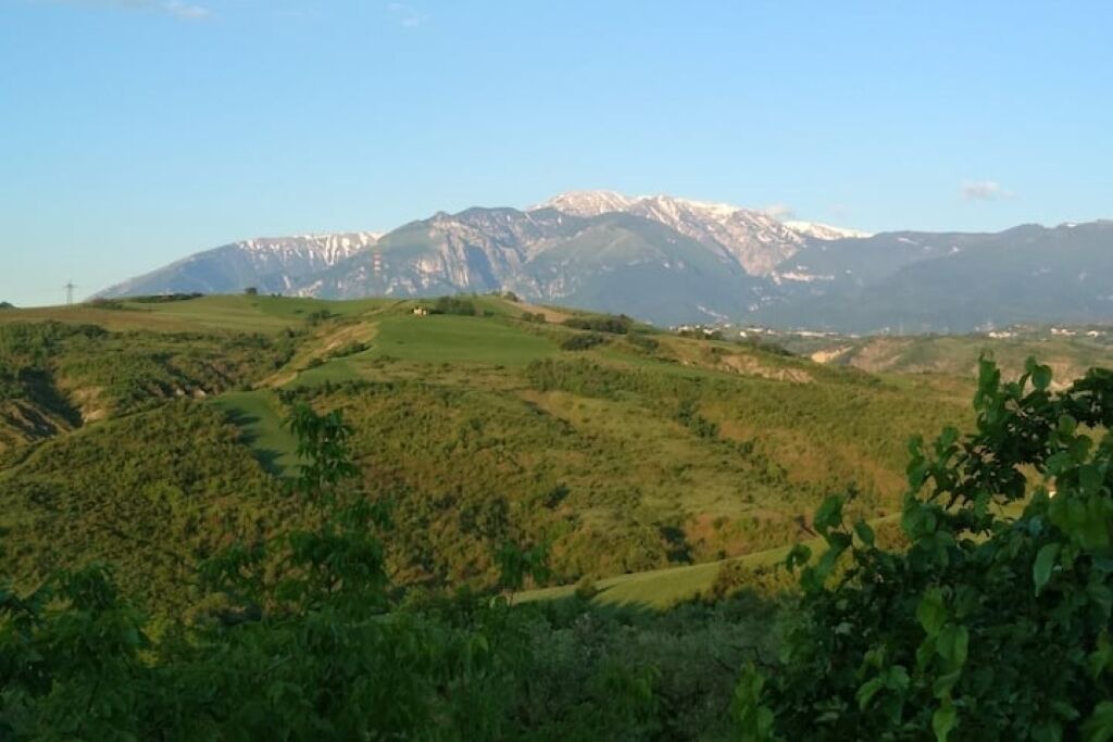 Photo of Others in Orsogna