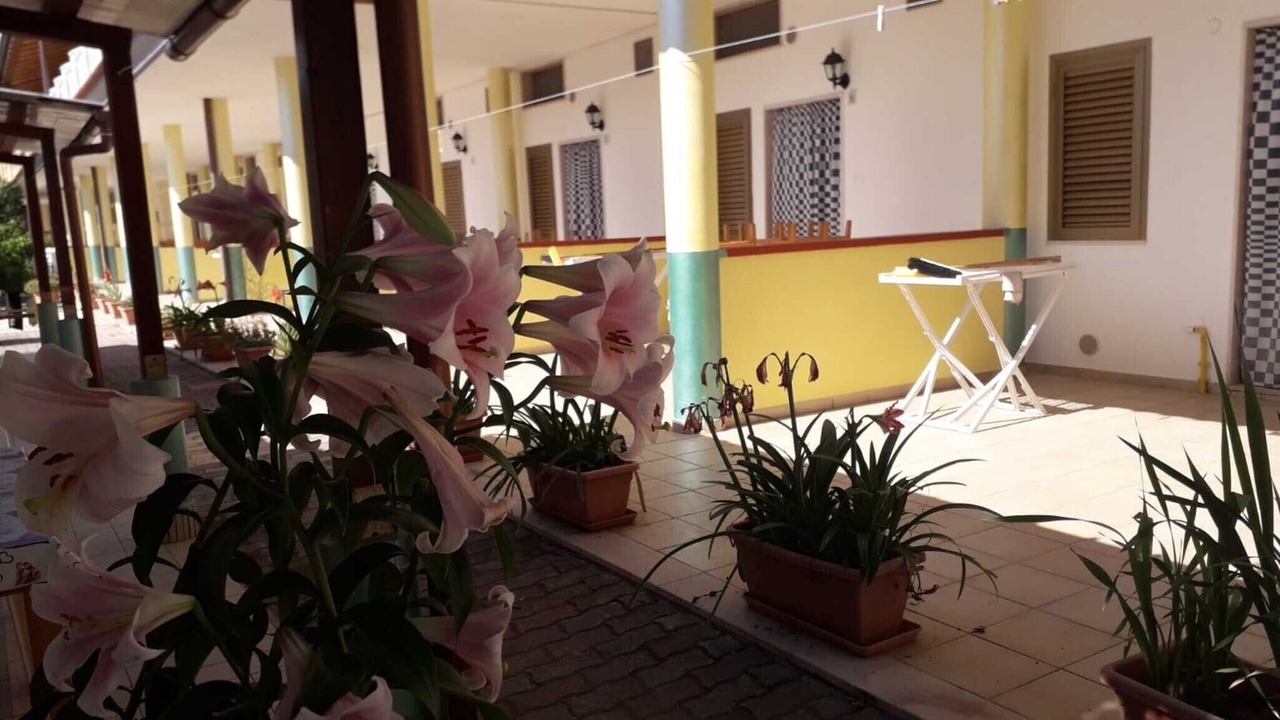 Photo of Patio Balcony in Peschici