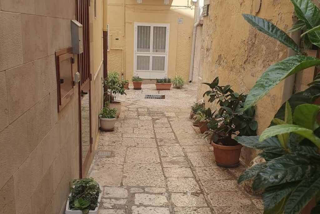 Photo of Outdoor in Bari City Centre