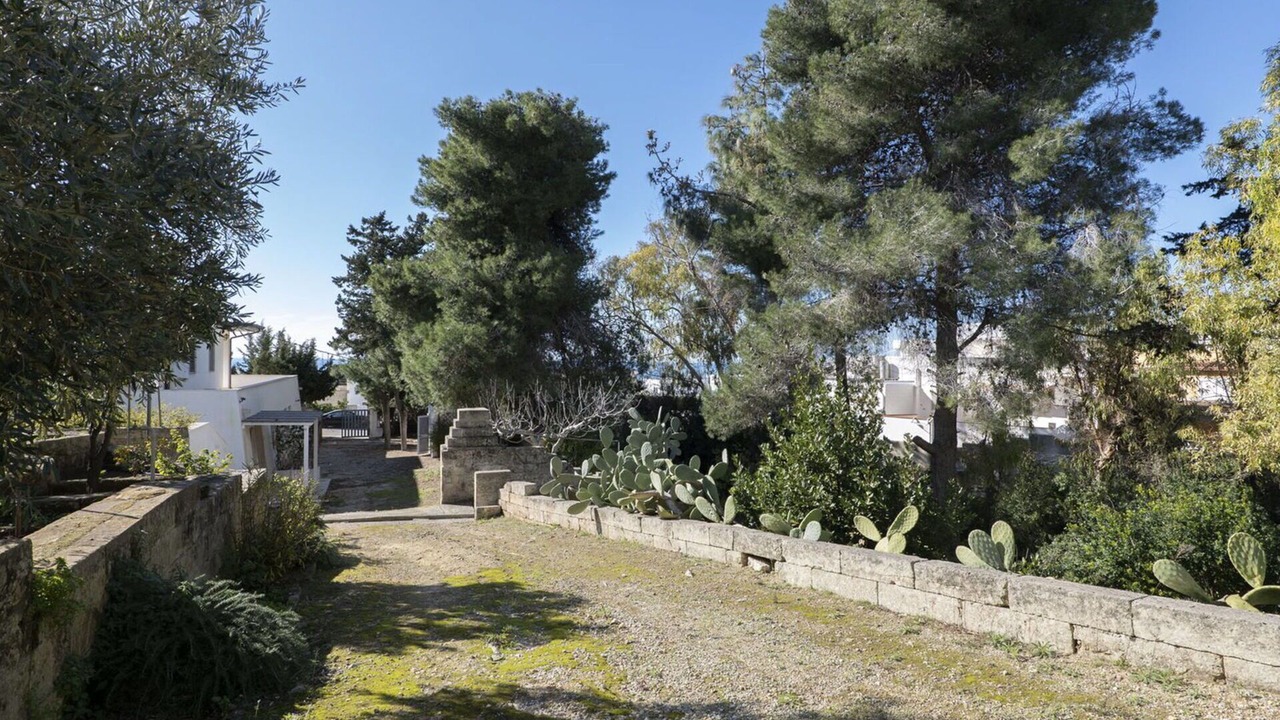 Photo of Others in Torre Vado