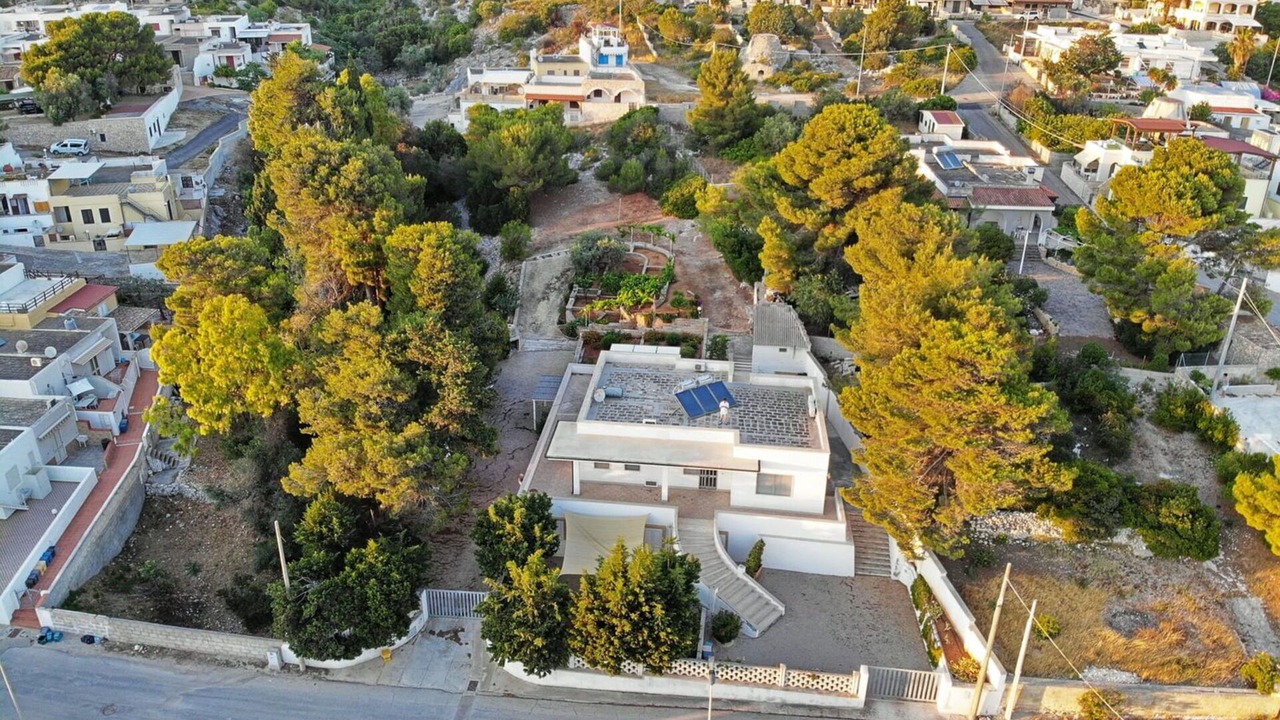 Photo of Others in Torre Vado