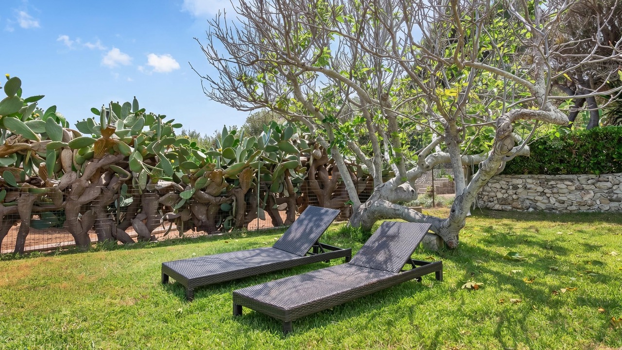 Photo of Outdoor in Marina di Marittima