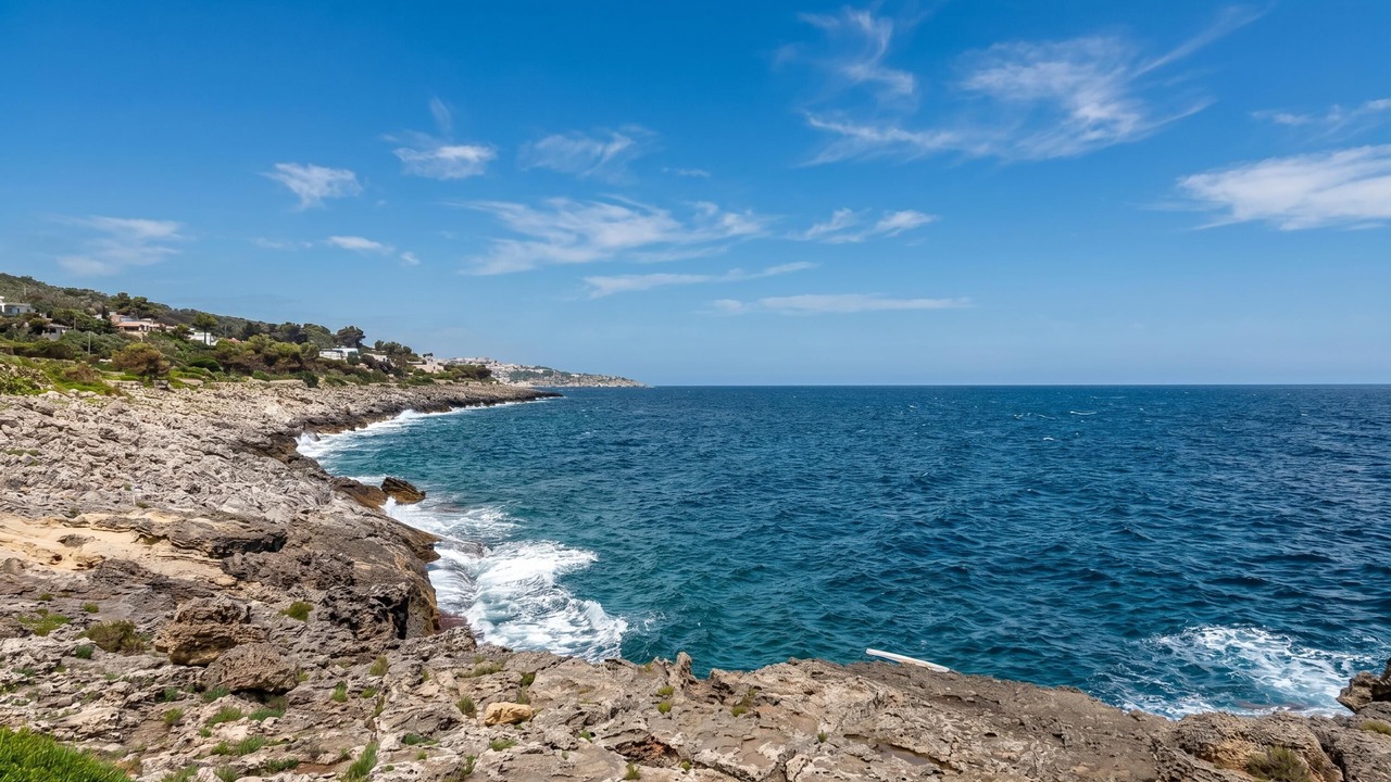 Photo of Others in Marina di Marittima