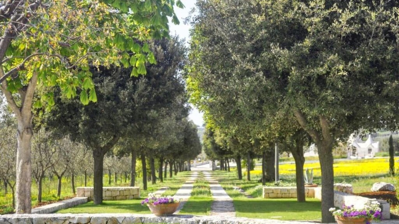 Photo of Outdoor in Impalata