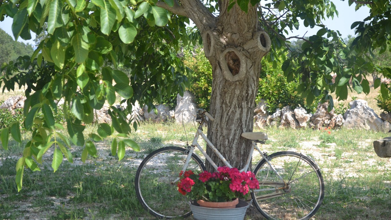 Photo of Outdoor in Martina Franca