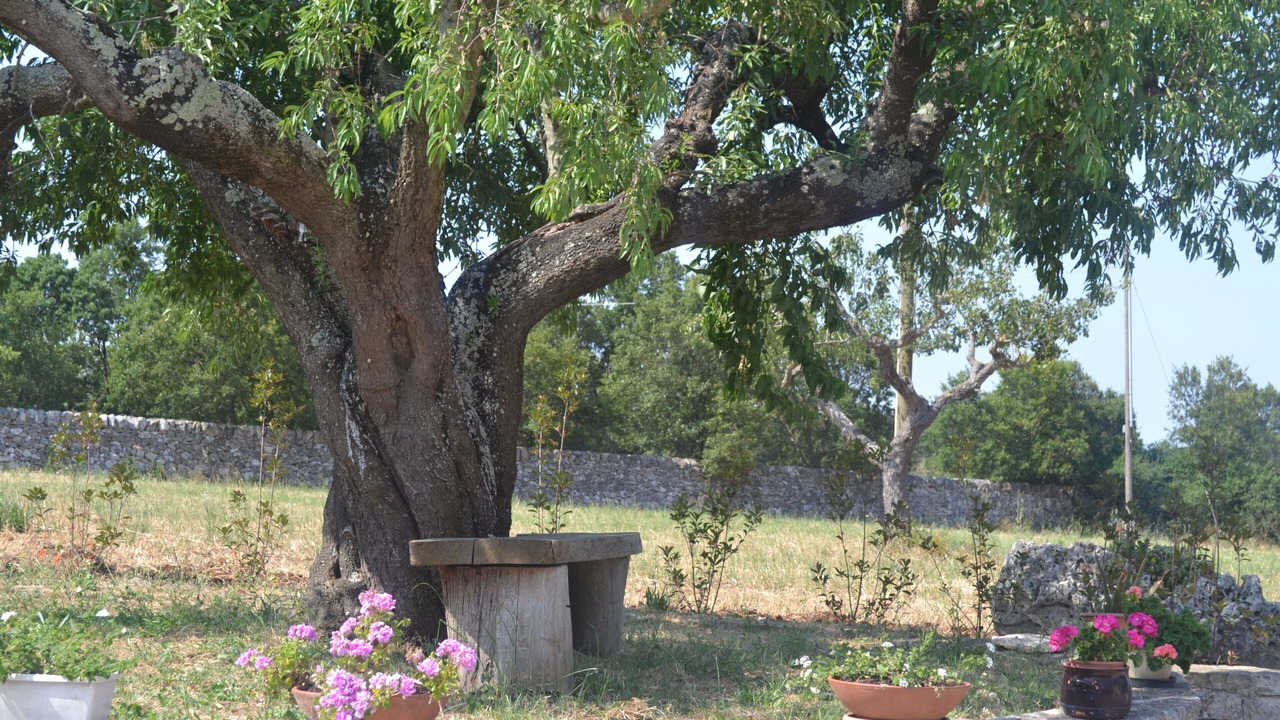 Photo of Outdoor in Martina Franca