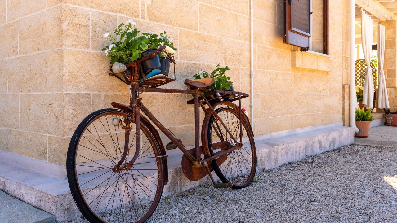 Photo of Outdoor in Marina di Pescoluse