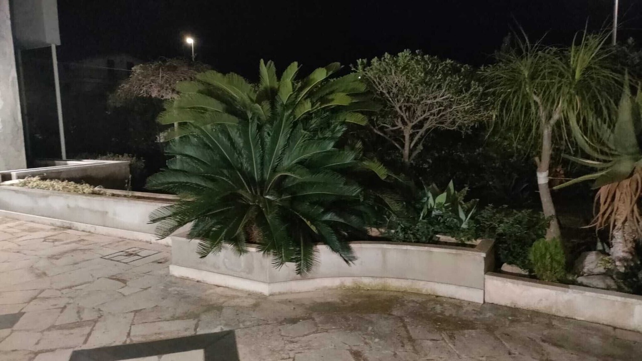Photo of Outdoor in Marina di Modica
