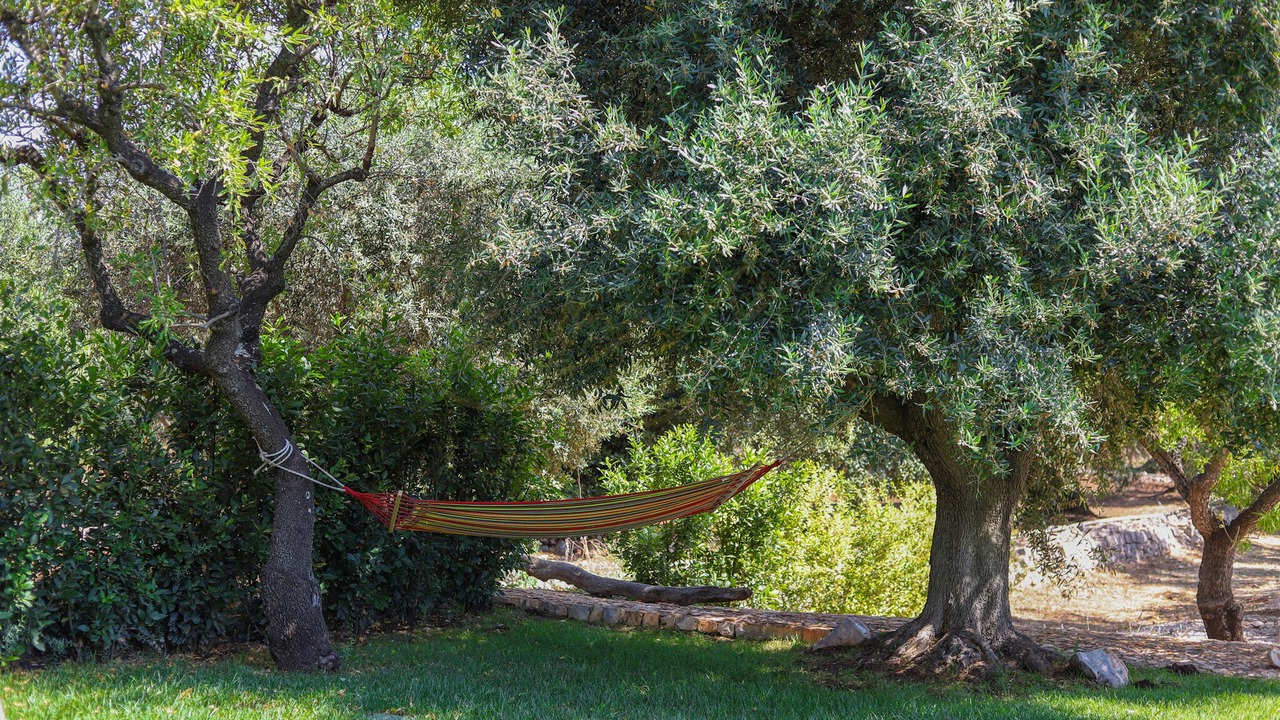 Photo of Outdoor in Monopoli