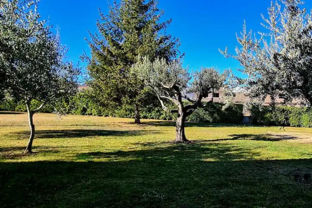 Photo of Outdoor in Introdacqua