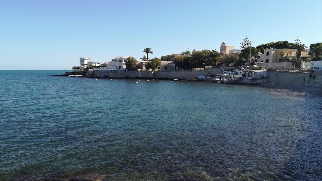 Photo of Others in Trani