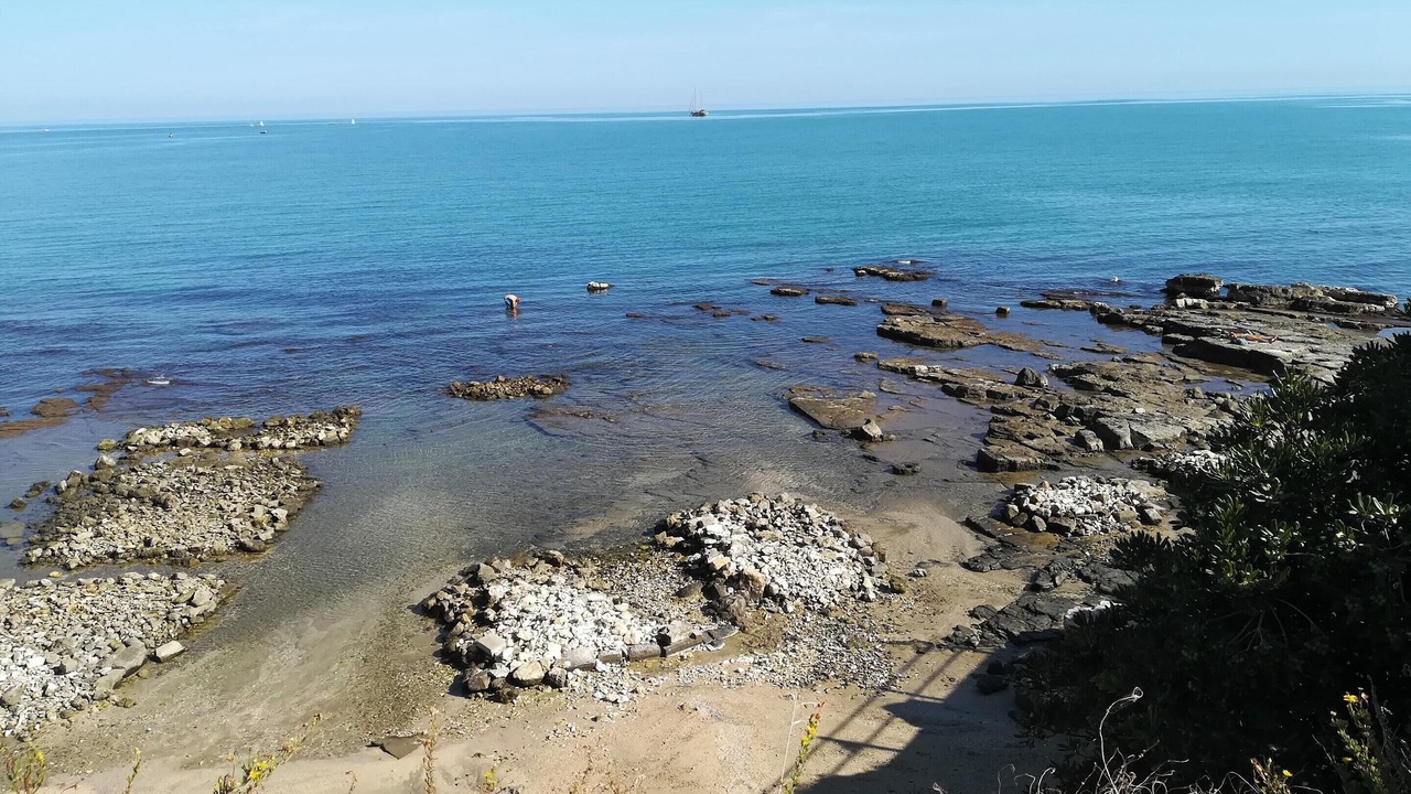 Photo of Others in Trani