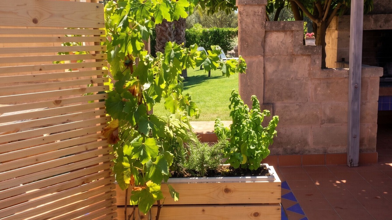 Photo of Outdoor in San Vito dei Normanni
