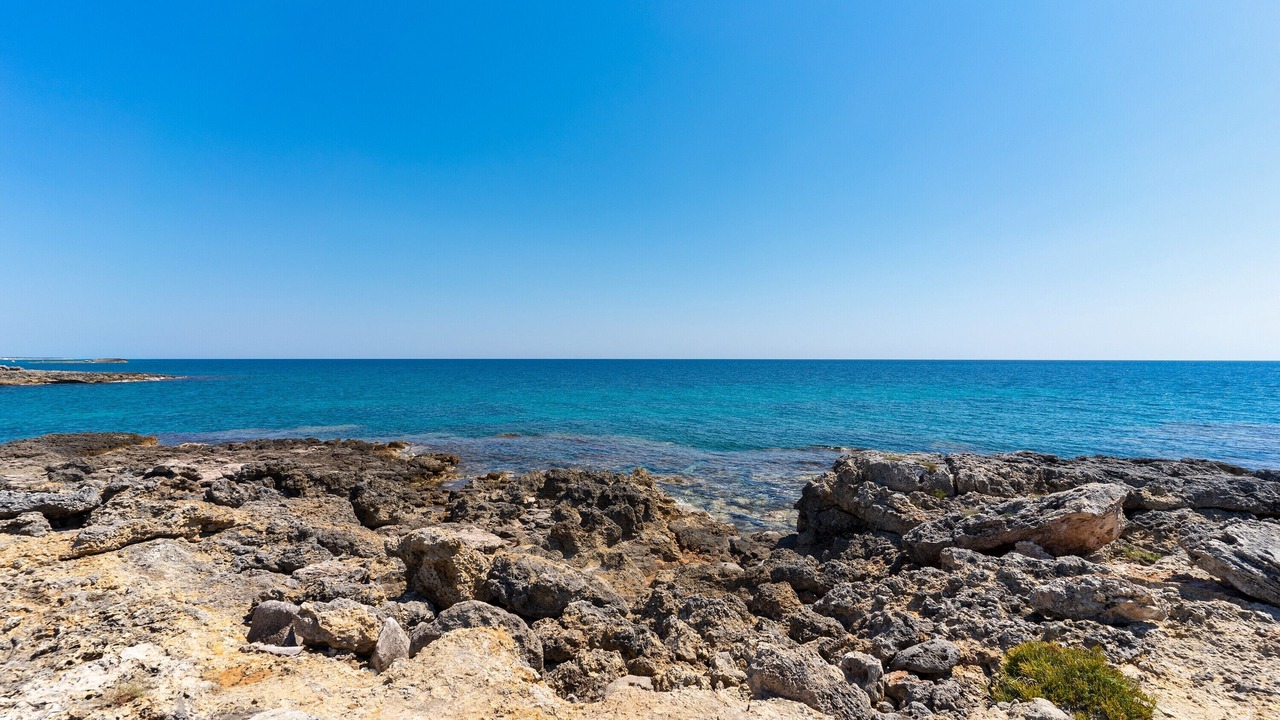 Photo of Others in Torre San Giovanni