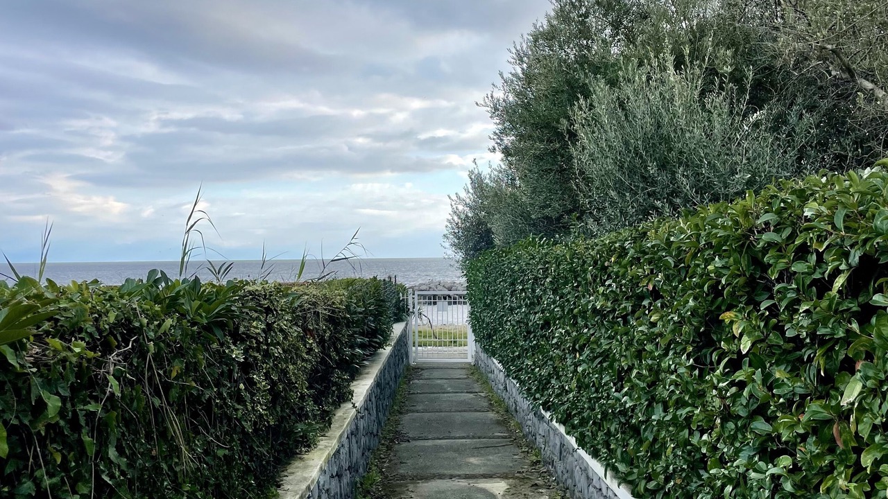 Photo of Outdoor in Scario