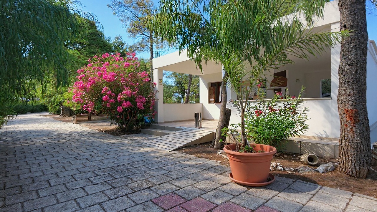 Photo of Outdoor in Scialara