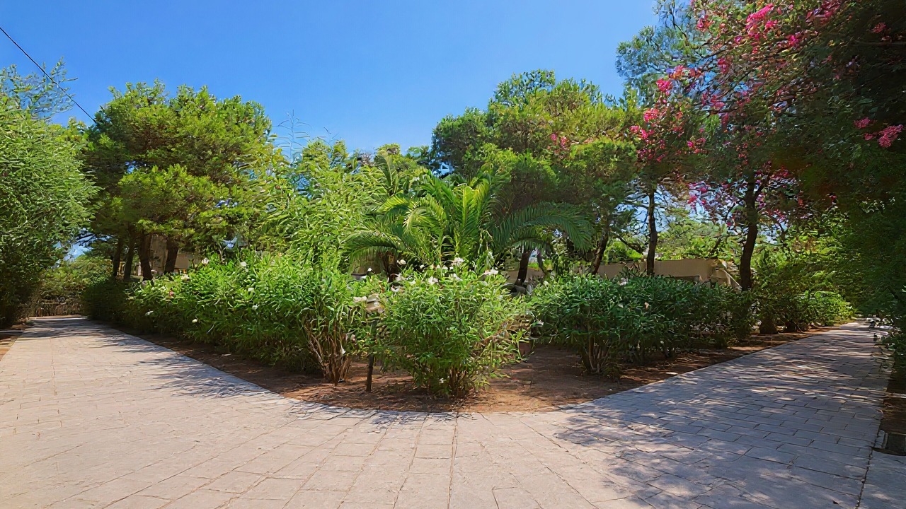 Photo of Outdoor in Scialara