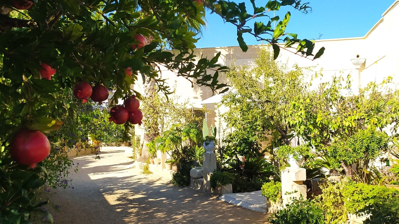 Photo of Outdoor in Centro Storico