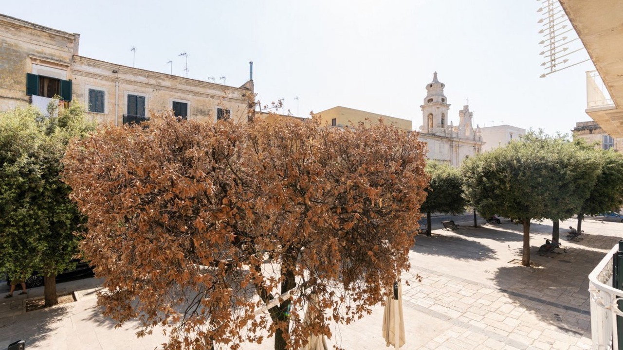 Photo of Others in Trani