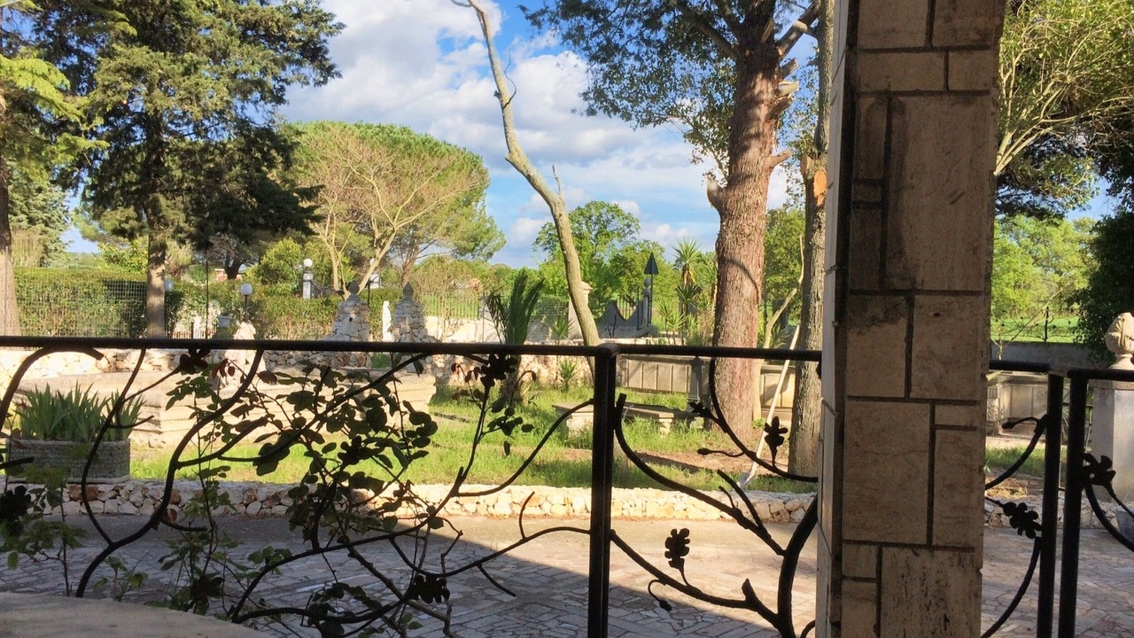 Photo of Others in Gioia del Colle