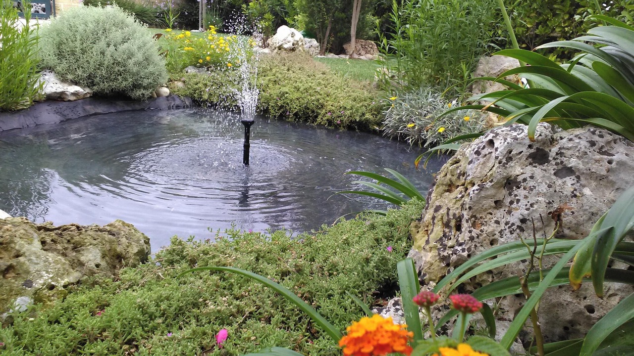 Photo of Outdoor in Parati