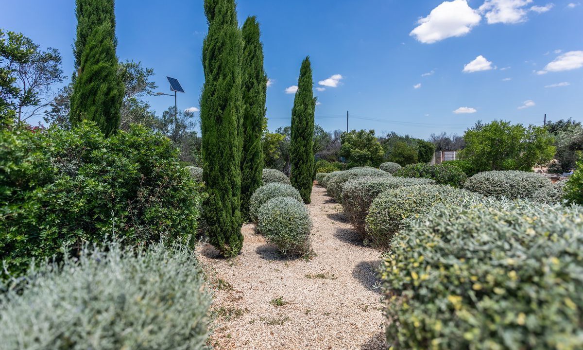 Photo of Outdoor in Capilungo