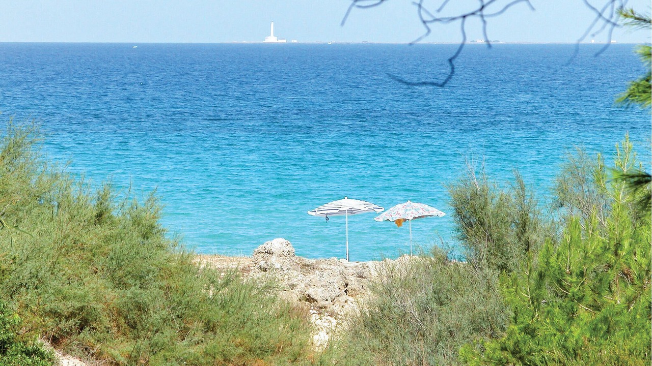 Photo of Others in Lendinuso