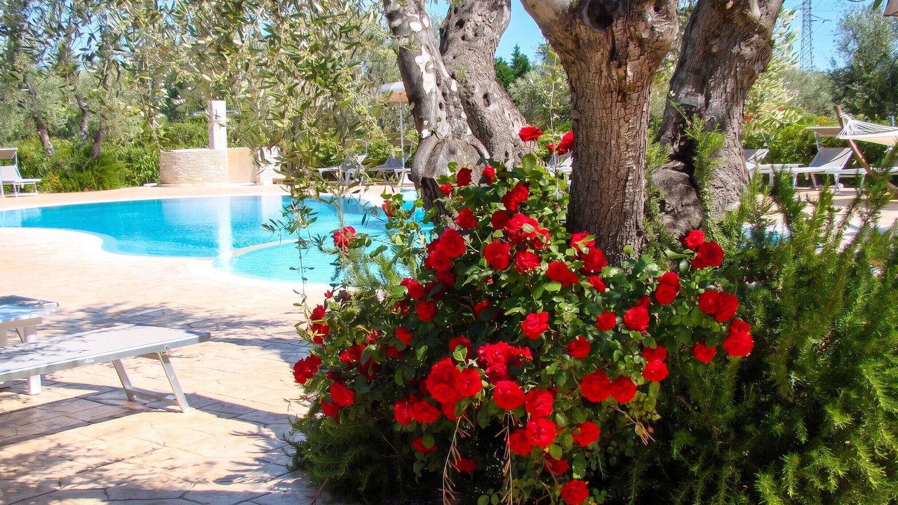 Photo of Outdoor in Chiesiola