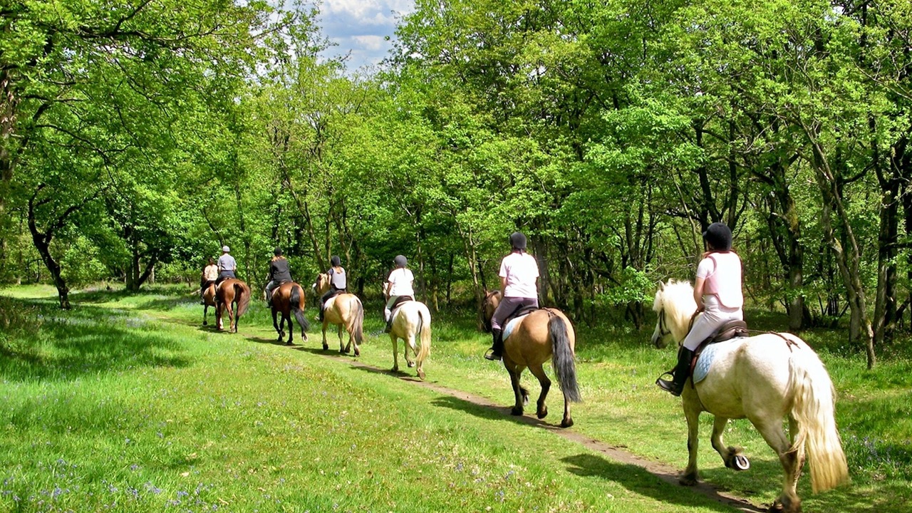 Photo of Others in Frascineto