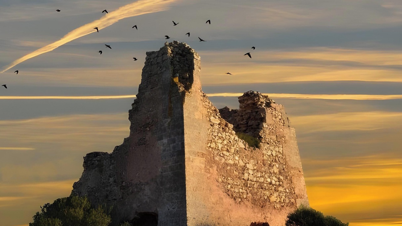 Photo of Others in Santa Maria al Bagno
