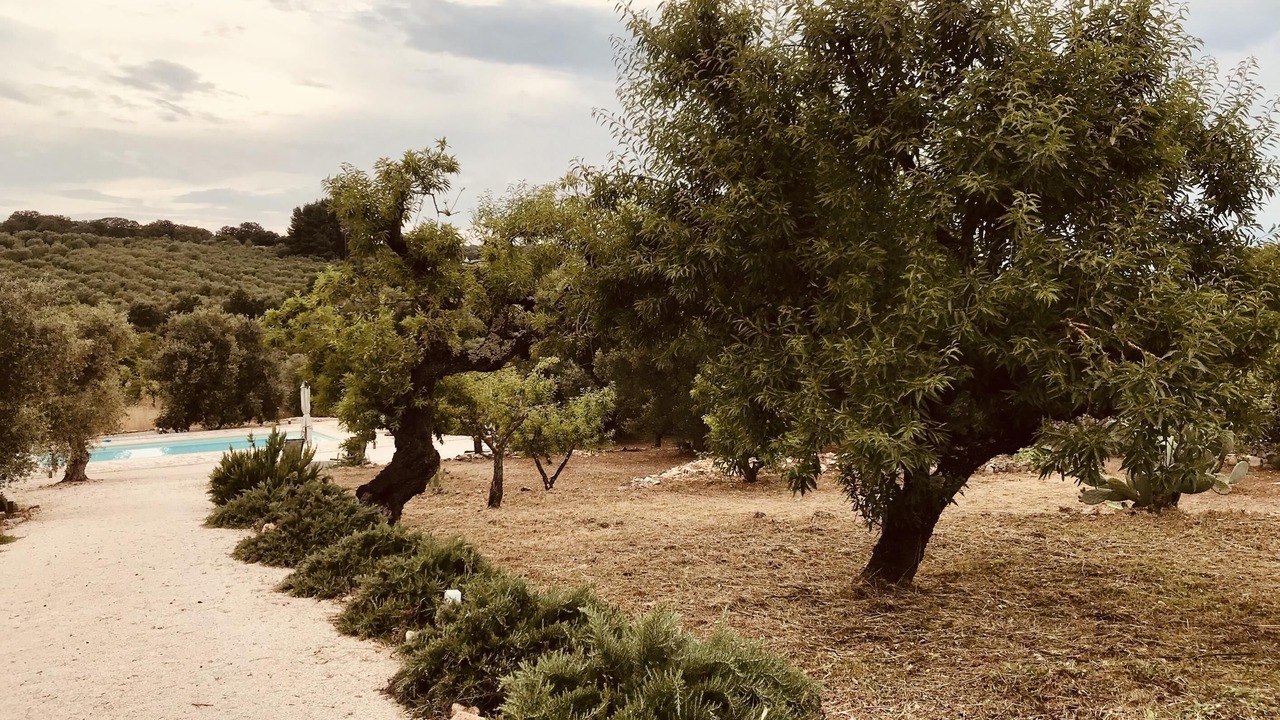 Photo of Outdoor in Ceglie Messapica