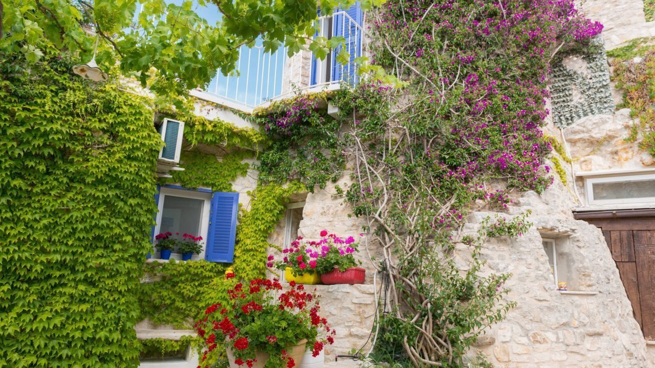 Photo of Outdoor in Bisceglie