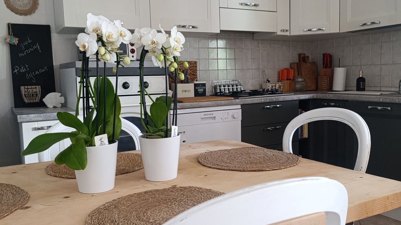 Photo of Kitchen in Sas Linnas Siccas