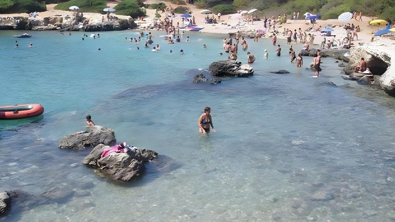 Photo of Others in Felline