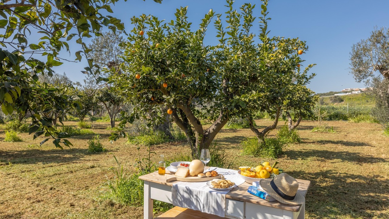 Photo of Outdoor in Il Monte