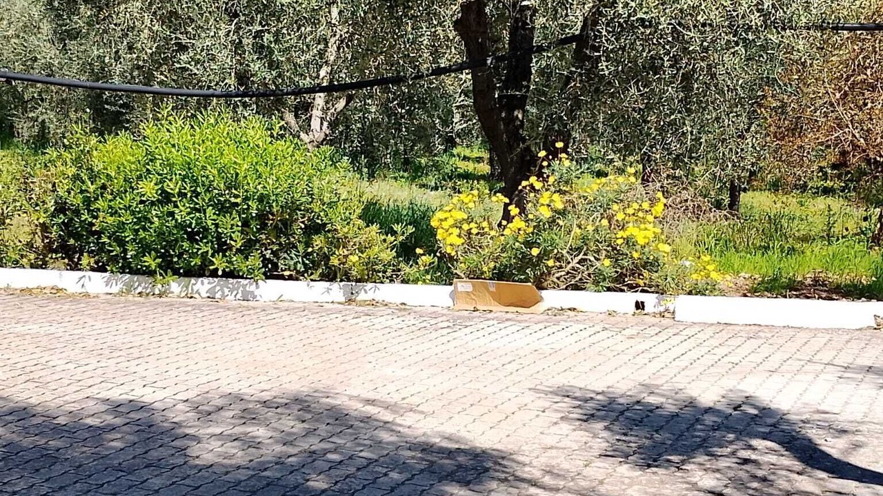 Photo of Outdoor in Montincello