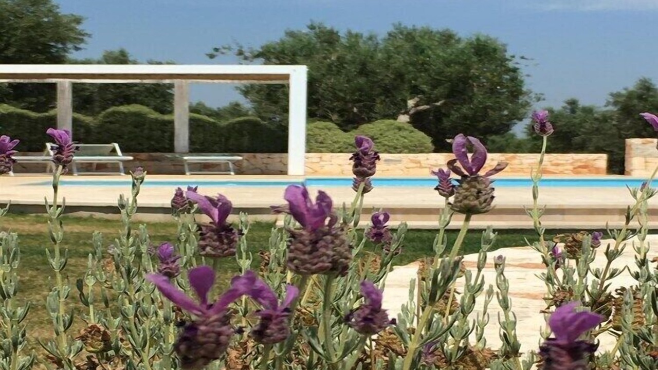 Photo of Outdoor in Cisternino