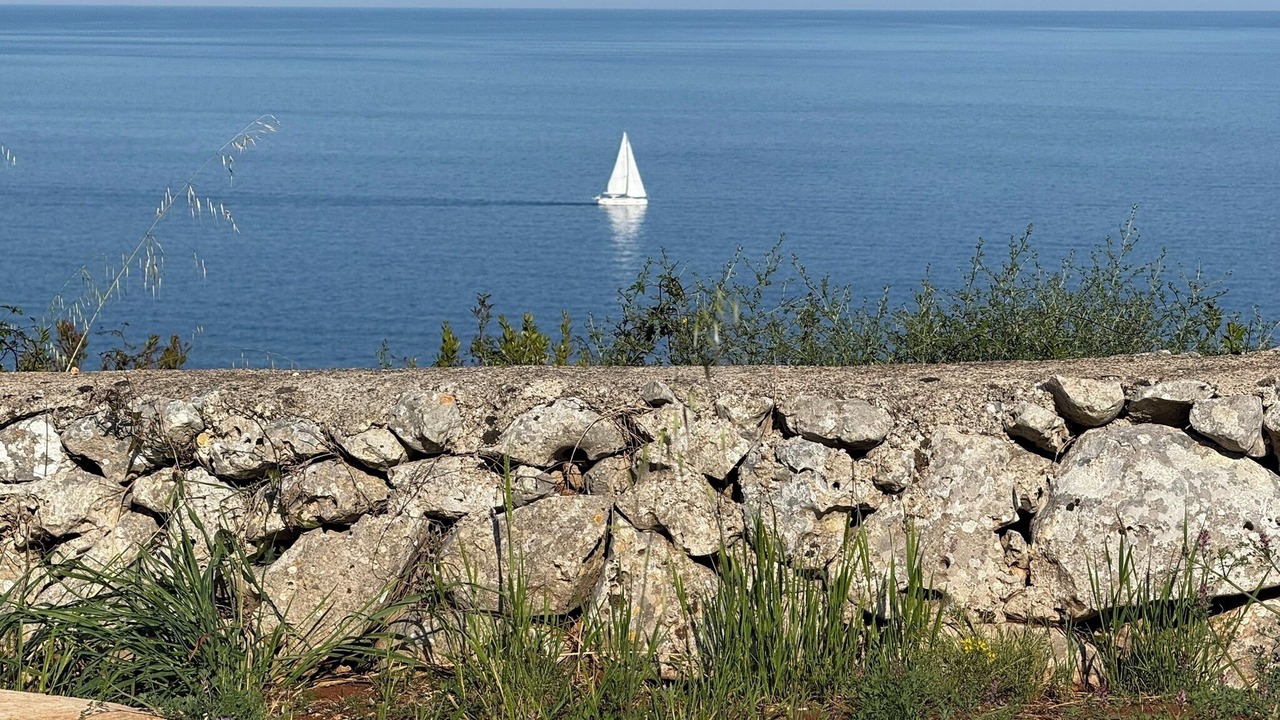 Photo of Others in Marina di Novaglie