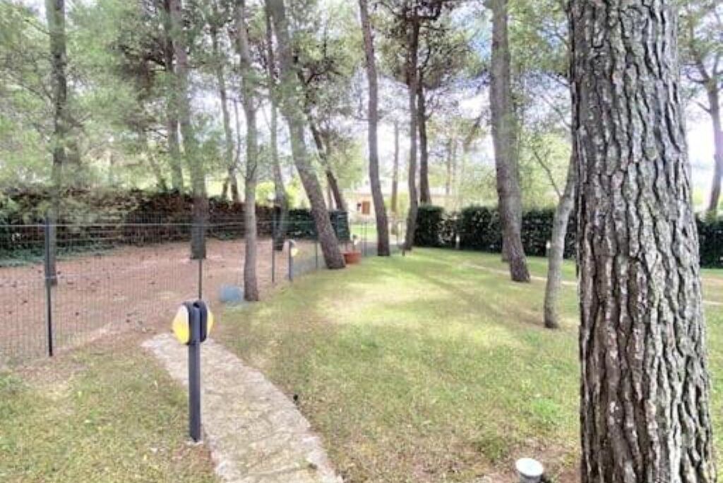 Photo of Outdoor in Coreggia