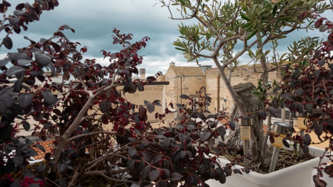 Photo of Others in Ruvo di Puglia