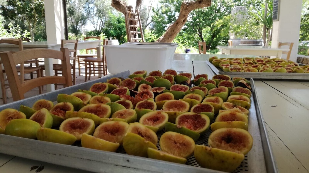 Photo of Outdoor in Vignacastrisi